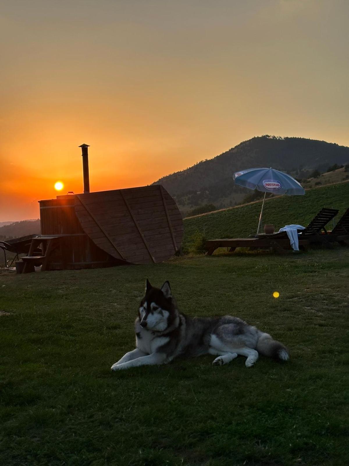 Vikendica Rankovici Villa Mokra Gora Luaran gambar
