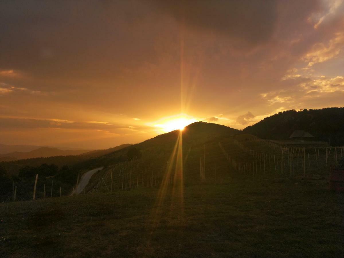 Vikendica Rankovici Villa Mokra Gora Luaran gambar