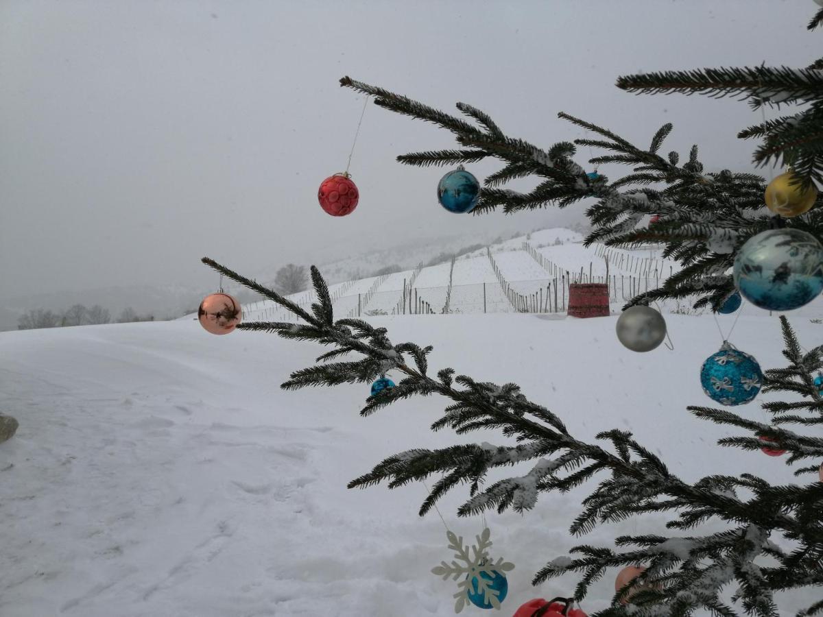 Vikendica Rankovici Villa Mokra Gora Luaran gambar