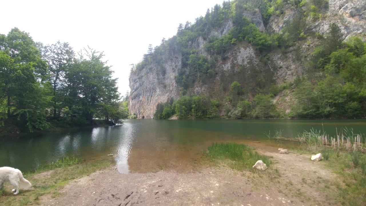 Vikendica Rankovici Villa Mokra Gora Luaran gambar