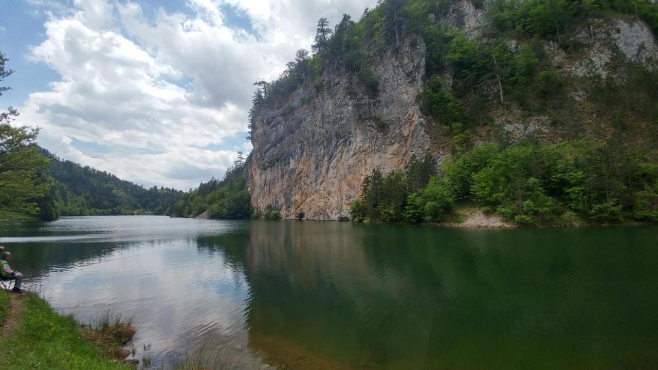 Vikendica Rankovici Villa Mokra Gora Luaran gambar